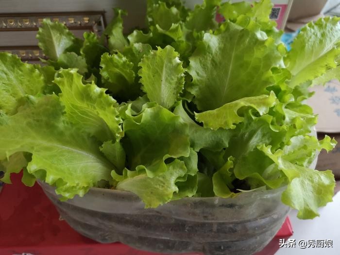 过年了教你做道拿手菜鲜嫩营养,过年学到的一道美味家常菜做法