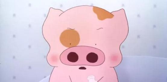 麦兜出生地址,麦兜几岁