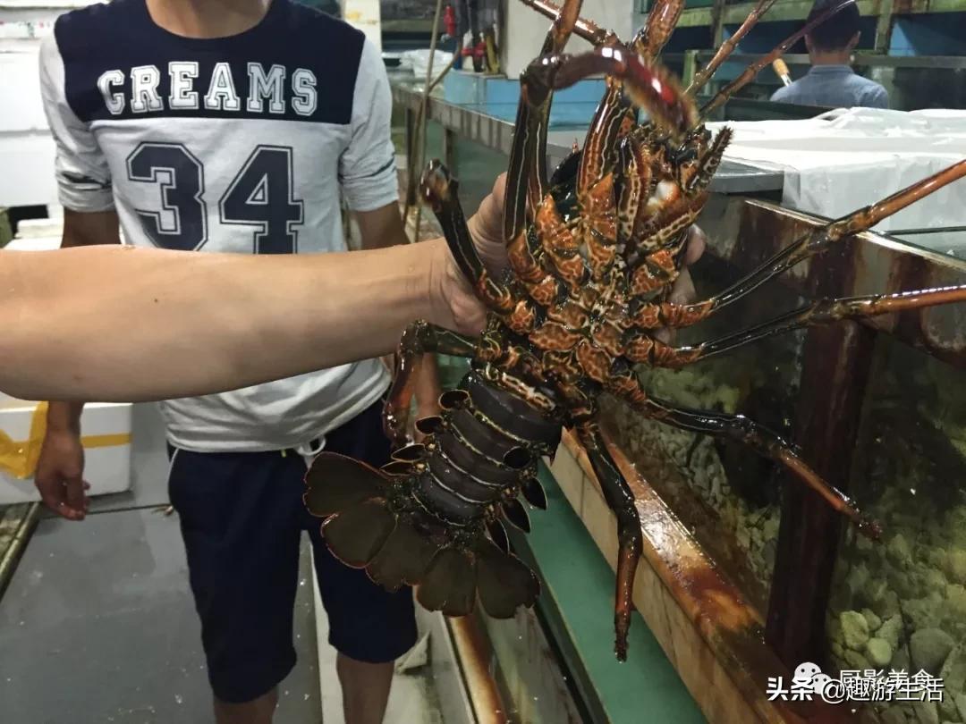 世界上的各种龙虾,世界上最大龙虾