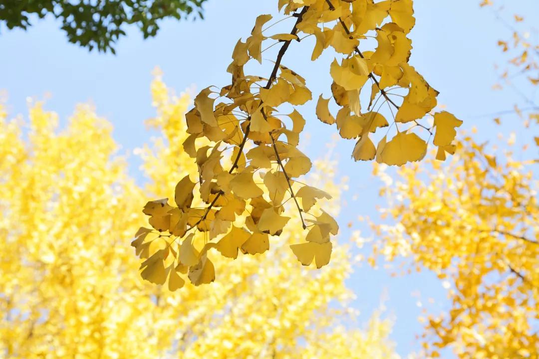 人一生太短暂别活得太累,人的一生别太安逸