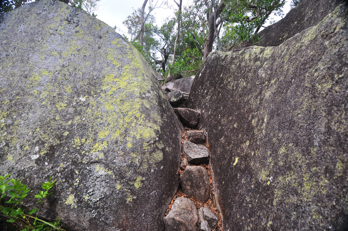 全民热遗｜大堡礁上有个翡翠岛，绝美好玩，还是海龟康复中心