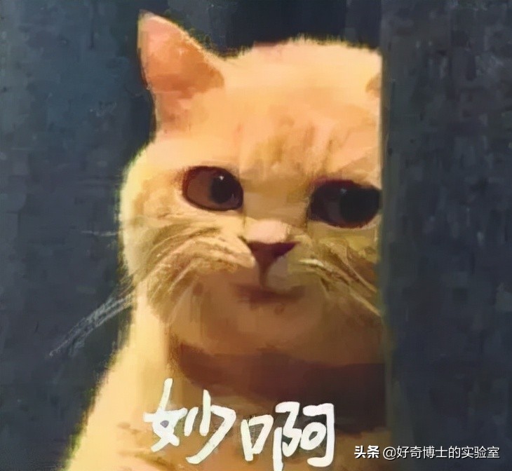 为什么大便总是想把屎夹断,大便到底该不该夹断