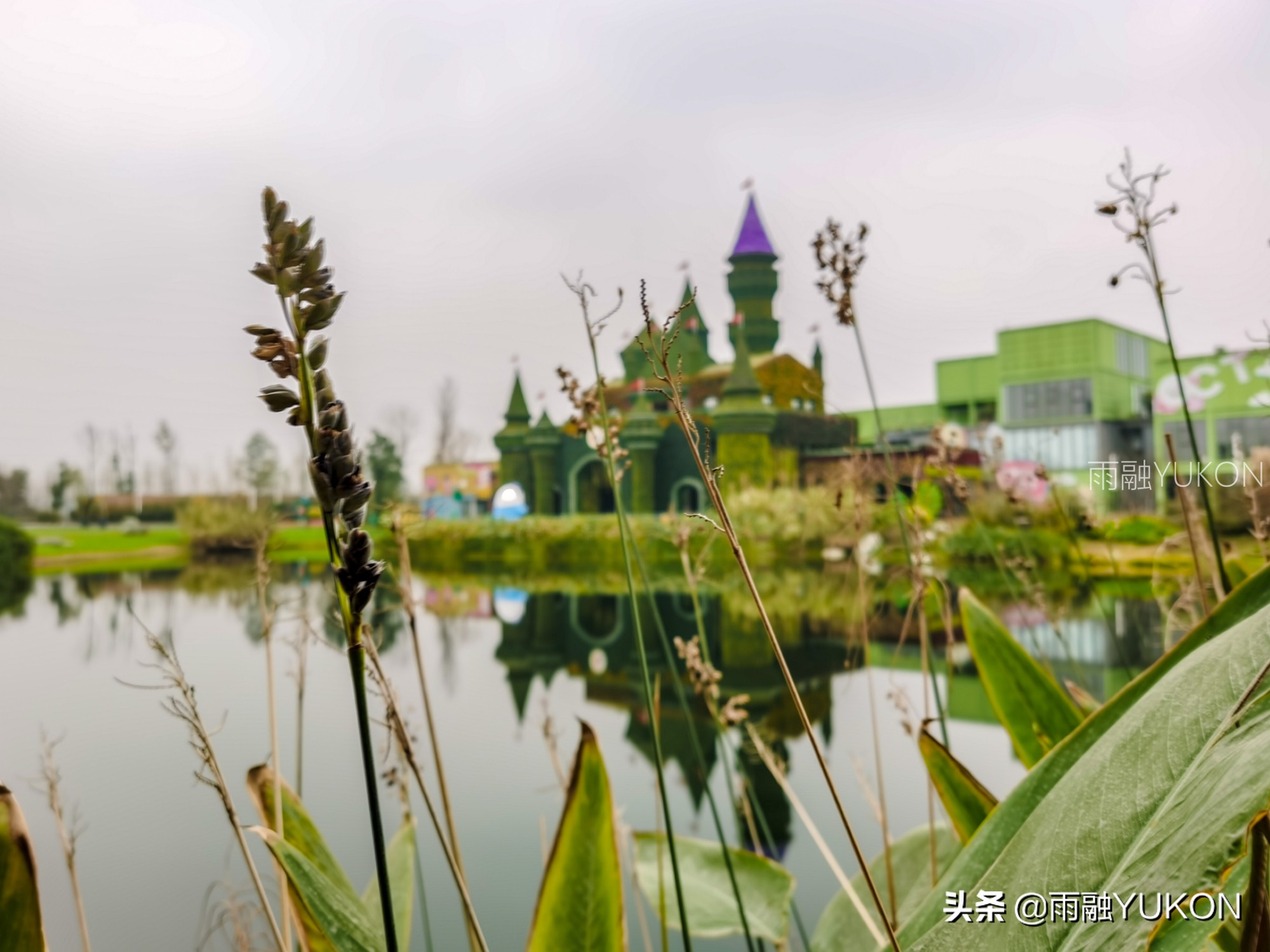 坐拥2项世界纪录的公园：拥有2.2万平米花海，门票仅30元却少有知