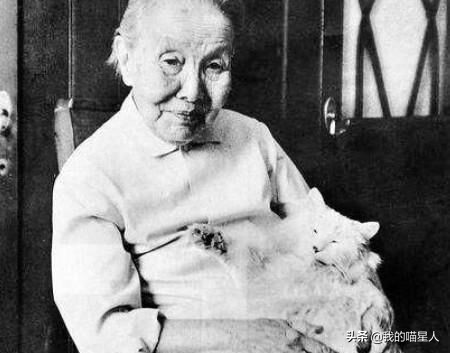 猫的魅力有多大？就连著名作家冰心奶奶也是资深“猫奴”