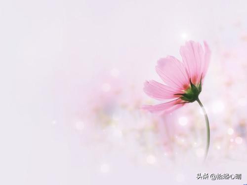 越有层次的女人越不会发朋友圈,过的好的女人不喜欢发朋友圈