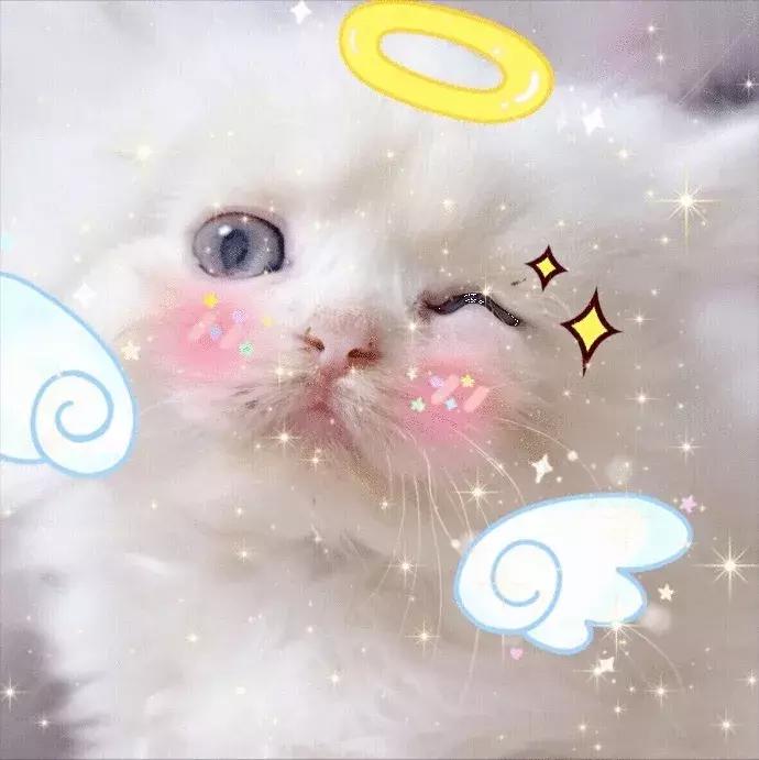 汗蒸如何享用,汗蒸实惠