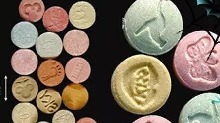 禁毒知识常见毒品的识别的答案,禁毒知识重点识别常见毒品植物