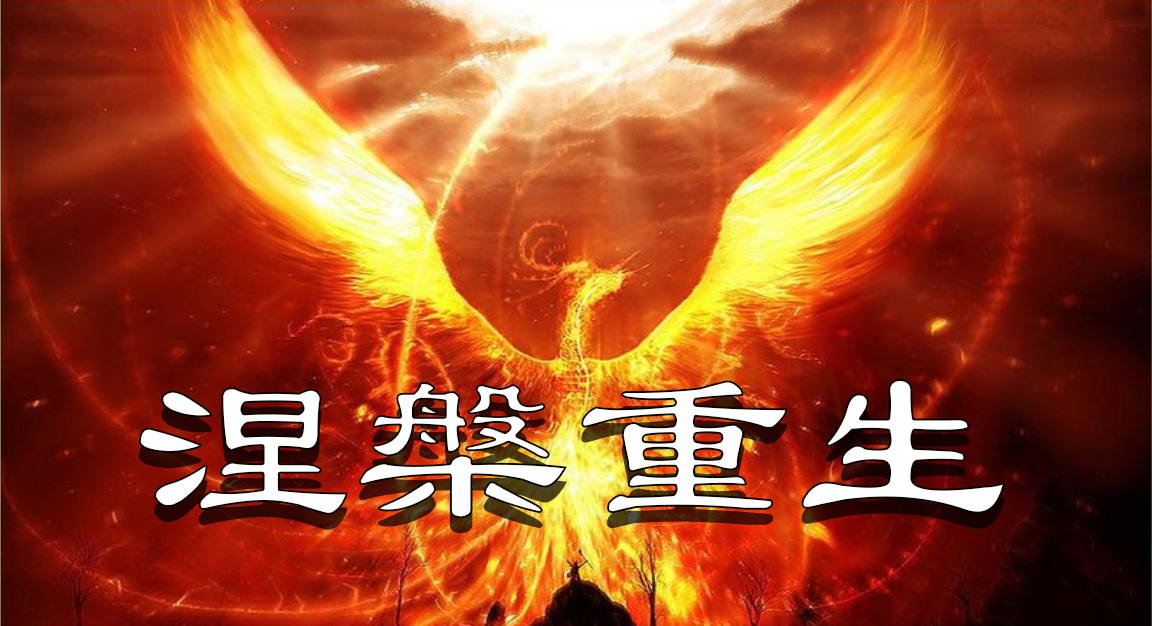 8国脚，2外援。这些赛季报销的核心球员是否能迎来涅槃重生