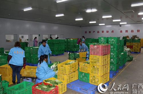 老百姓的菜篮子贺州,粤港澳大湾区菜篮子工程
