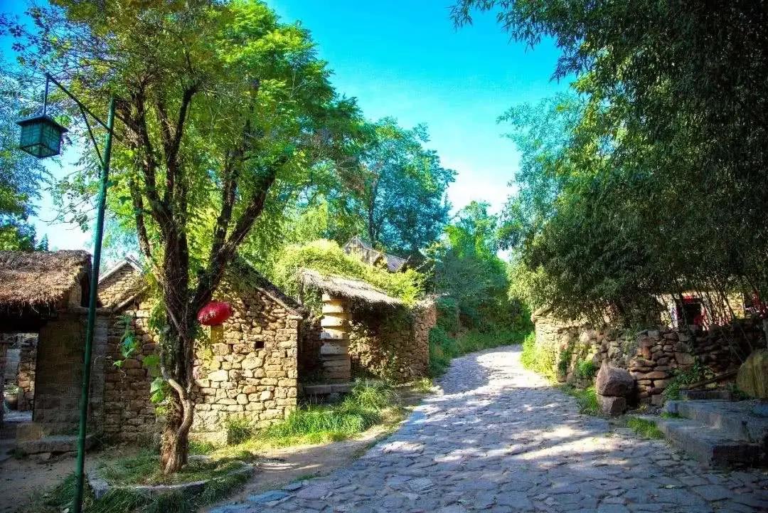 乡村振兴产业发展模式的有效做法,山东乡村振兴三个模式是什么