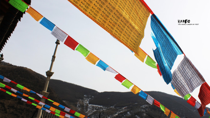 中国四大佛教之首的五台山,中国佛教四大名山游五台山