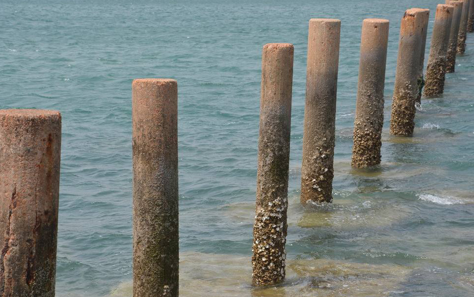 说文解字诗经考点,诗经说文解字108课