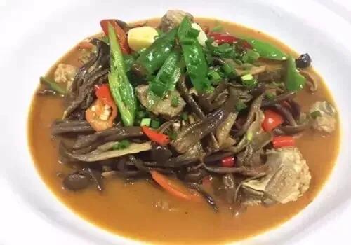 这种菌一带到广州一下子！鹿茸菌#2019生机大会#