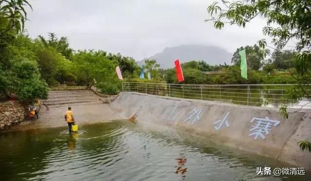 清远鹅汤圆,清远过年哪里免门票