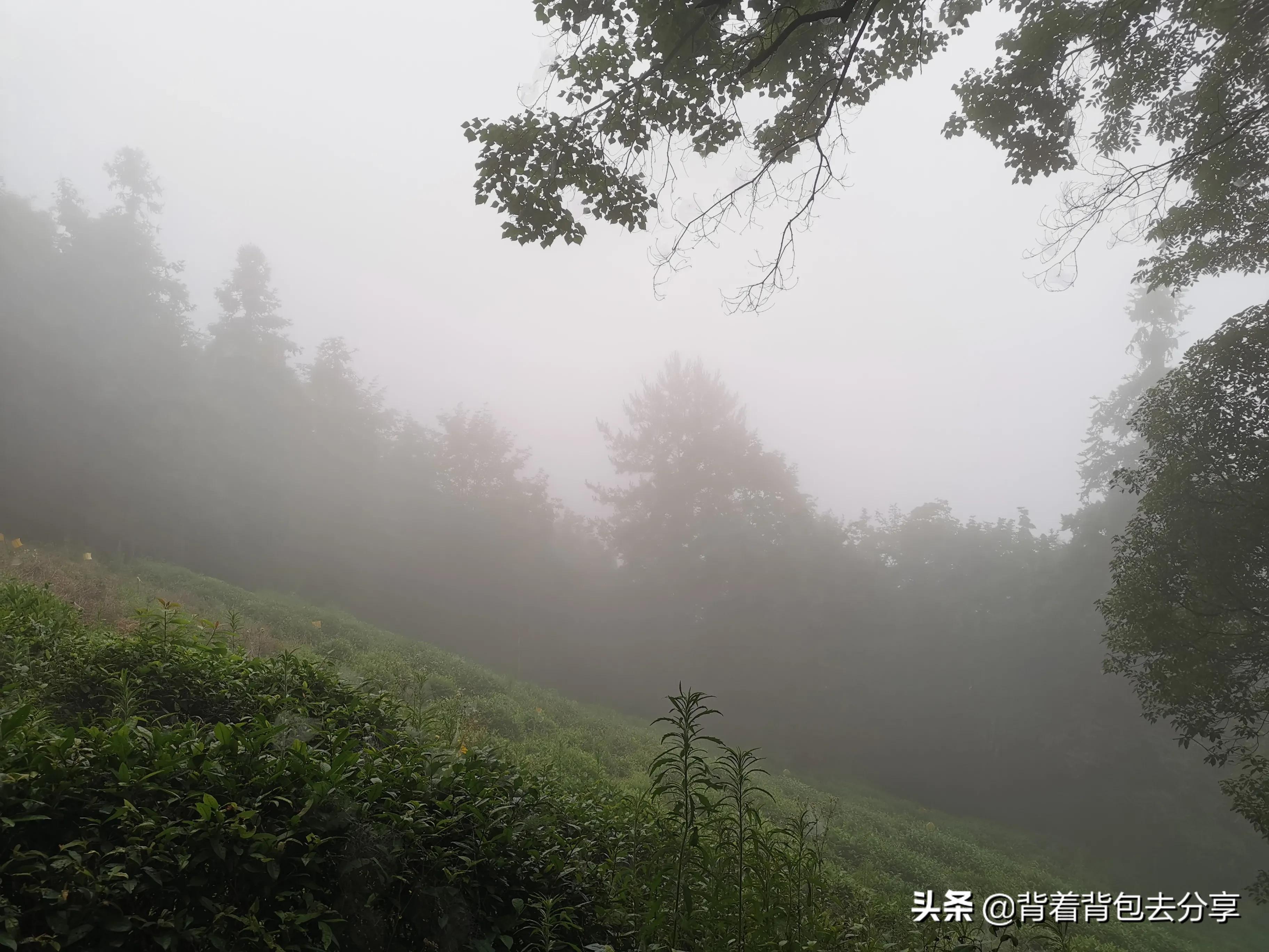 安徽省免费旅游景区,安徽十大旅游景点最好的