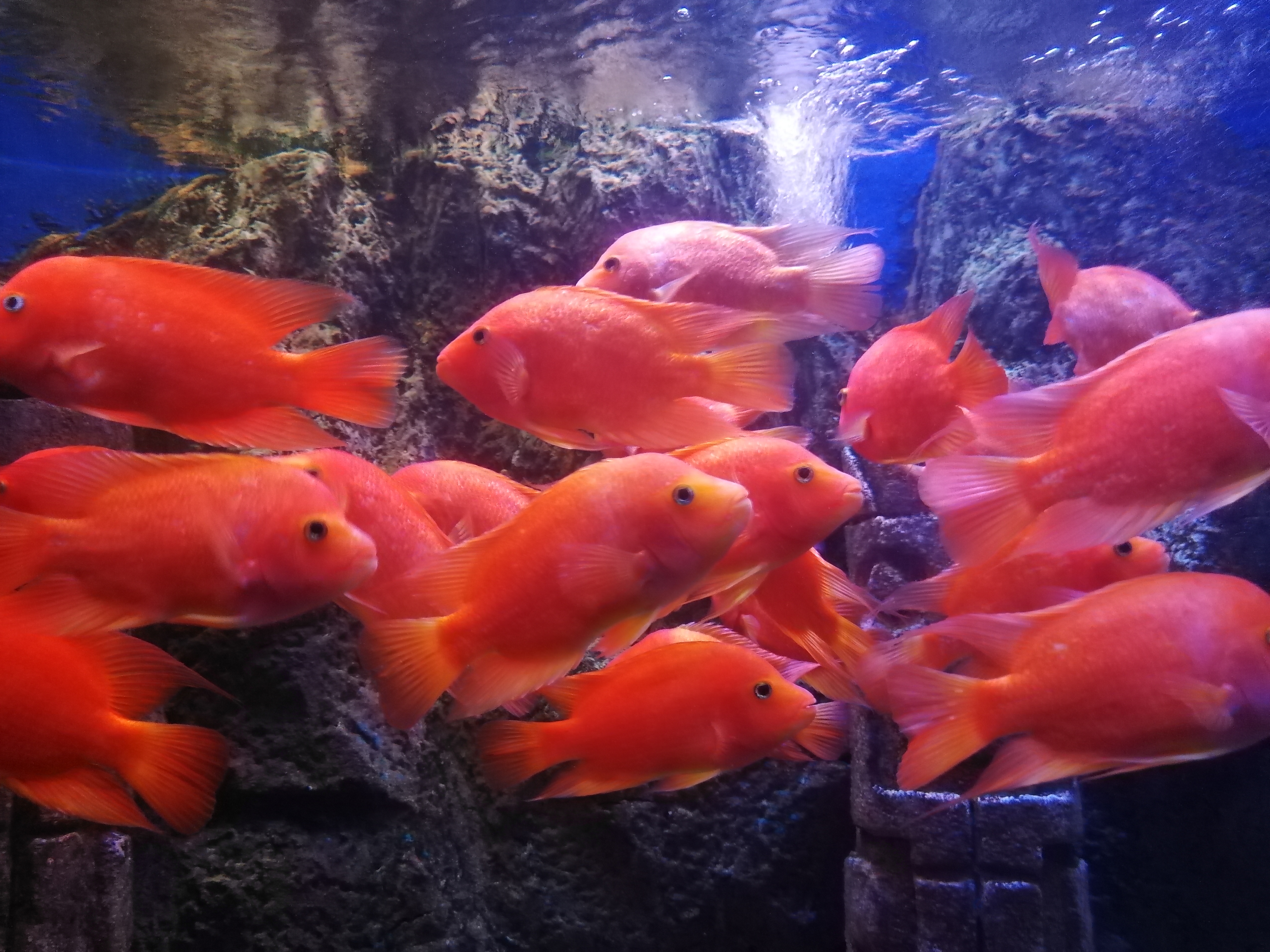 如何起一个富有诗意的好名字,免费取名2023年好名字大全