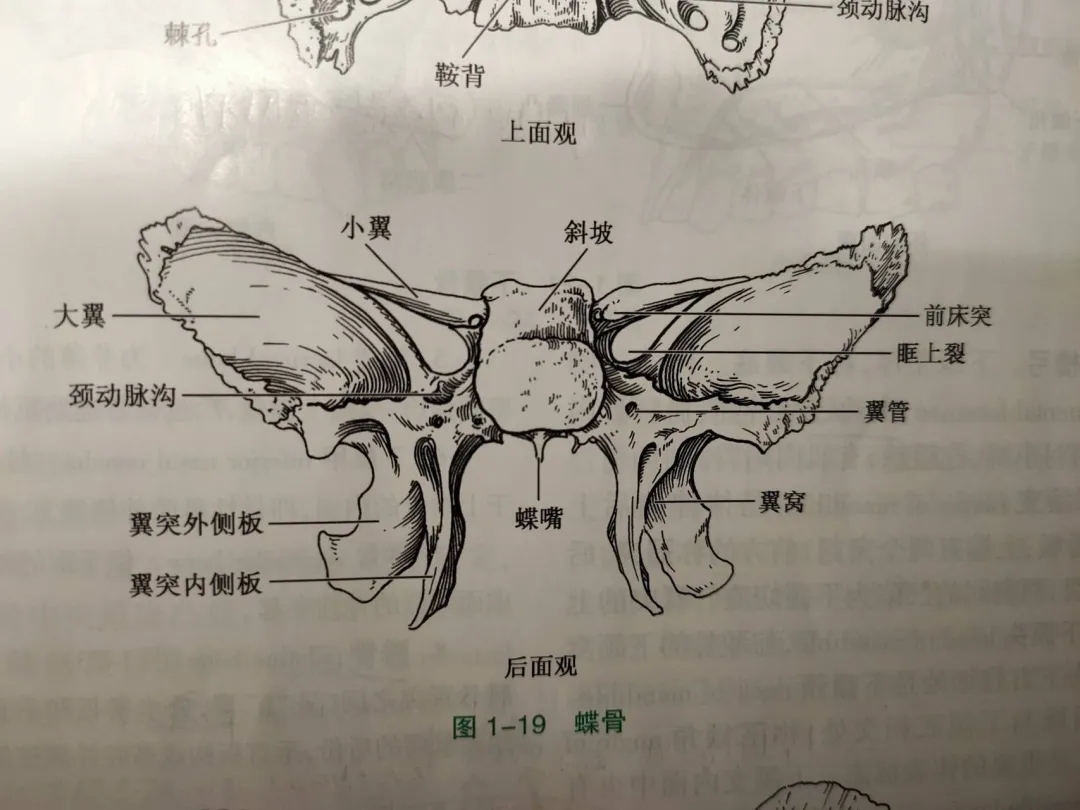 医学生学习打卡做题,医学生学习成果检验视频