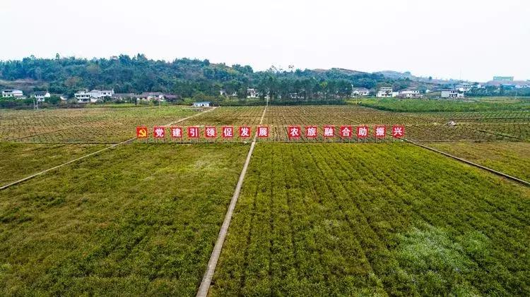 犍为风景最优美的地方,美丽的犍为风景
