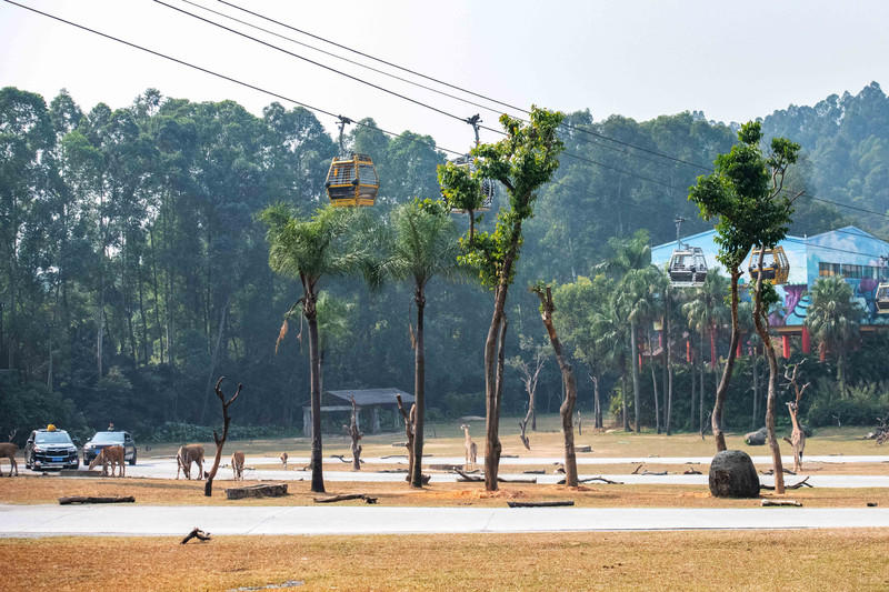 玩转广州长隆野生动物世界之行,广州长隆动物世界游玩攻略图