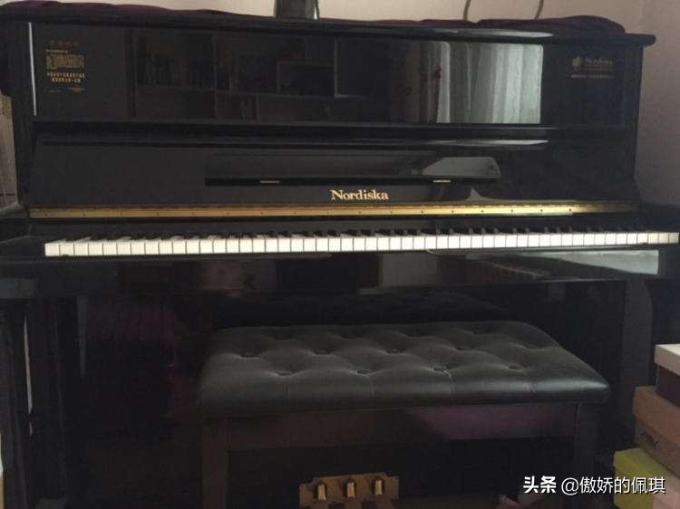 钢琴初学者买什么品牌的钢琴合适,钢琴入门买哪款琴好用又实惠