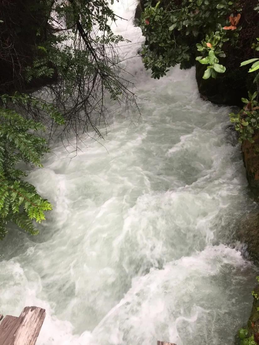 消失的地平线洛克,消失的地平线雨季洛克