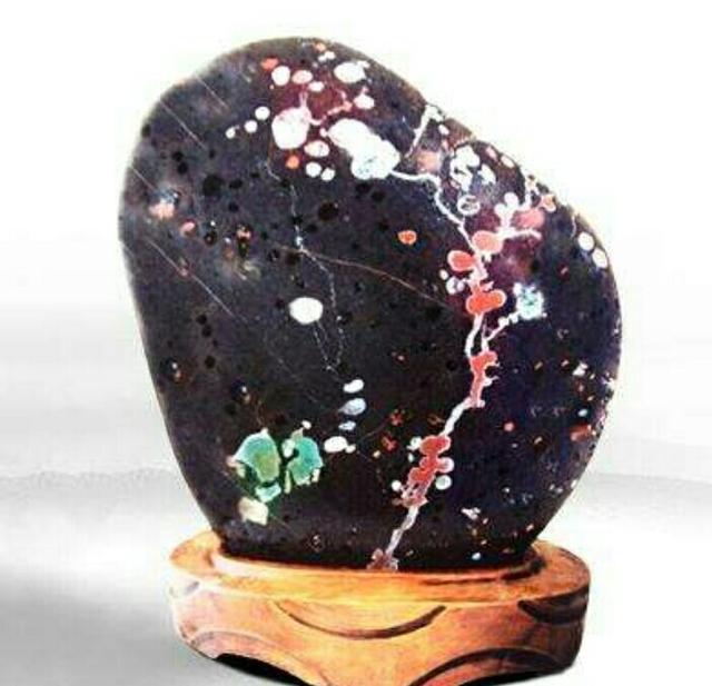 踏雪寻梅：几生修得到梅花？探究中国的“梅文化”