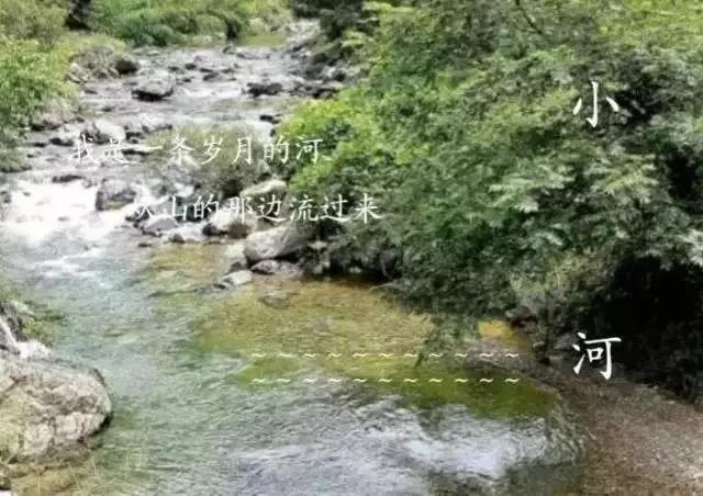 疫情期间团圆饭菜谱,疫情时期我家的年夜饭