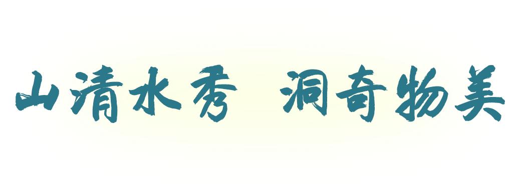 外省旅游团探秘广西巴马长寿之旅,巴马旅游探索巴马的奇妙之旅