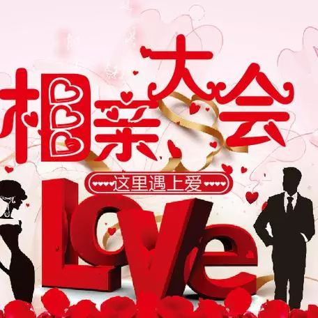 太原救助站流浪狗,太原救助流浪狗