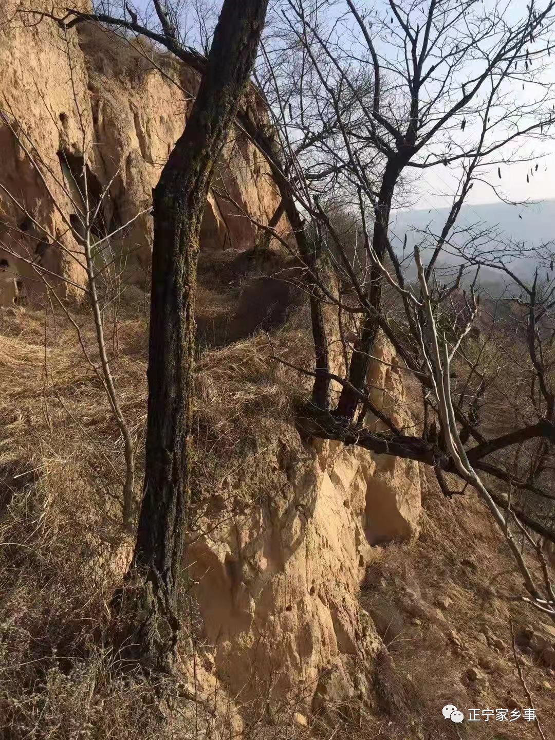 疫情期间蜗居,疫情期间随笔