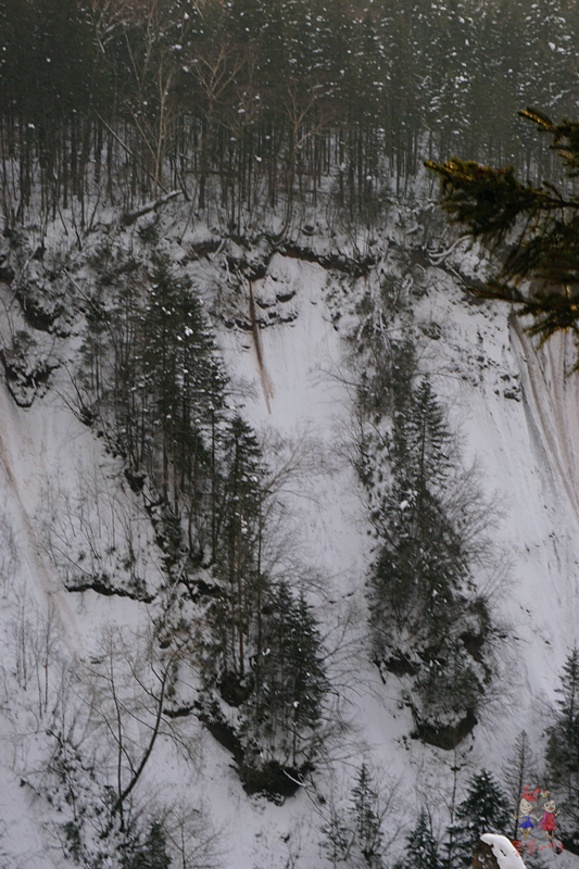 冬季旅游好去处排行榜不看雪,林海雪原旅游景区