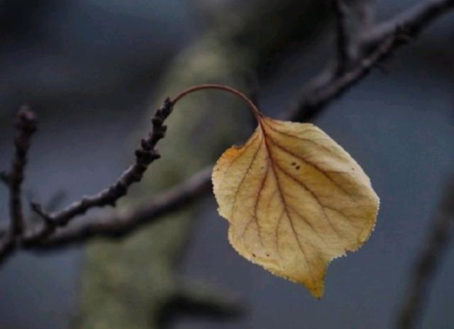 看透人心心酸的说说道尽人性冷暖,看透人心醒悟的句子说说
