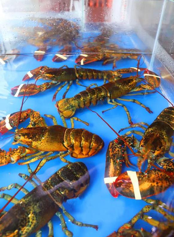 君豪国际大酒店餐厅,广州君豪酒店自助餐