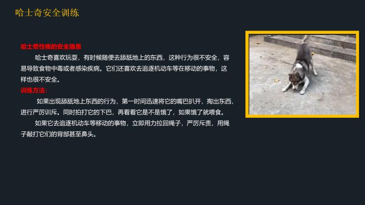 哈士奇到底应该怎么养,20天左右的哈士奇怎么喂养