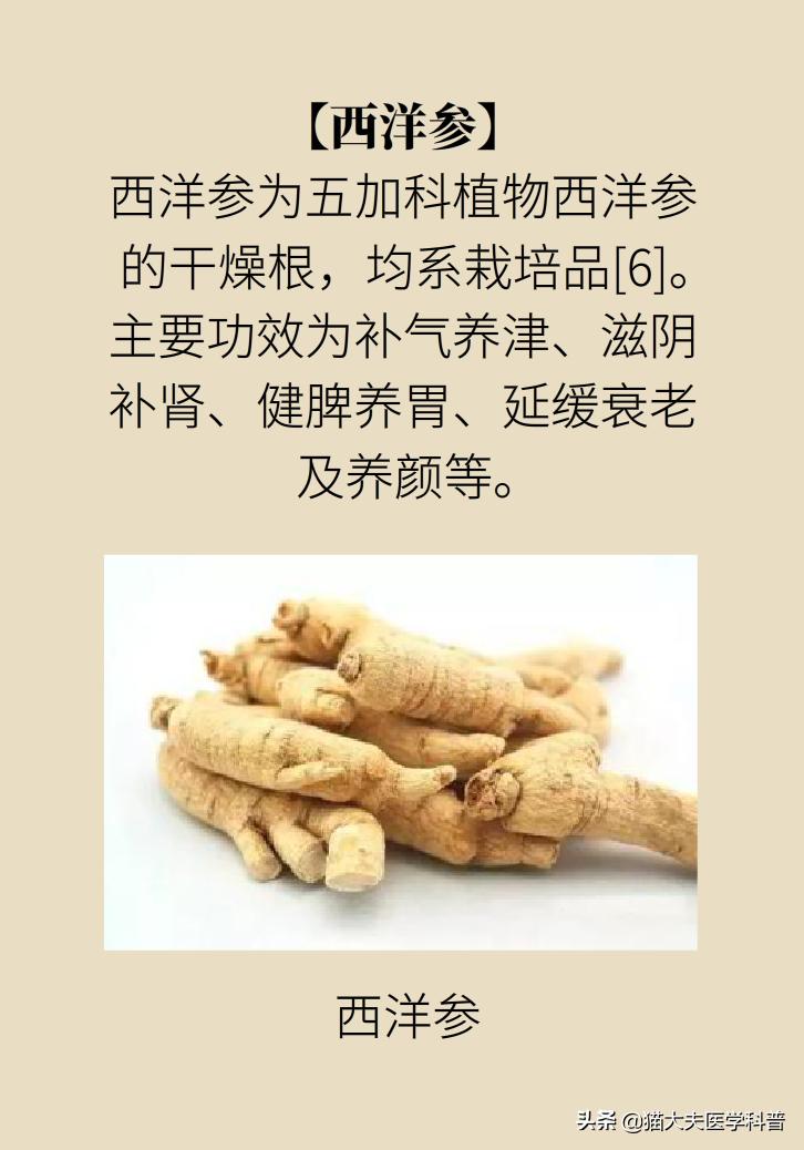 人参西洋参党参红参太子参的区别,人参红参太子参党参西洋参的区别