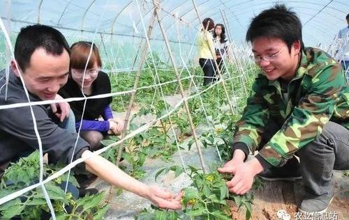 农村创业四个不起眼的商机,农村现在适合做什么创业暴利