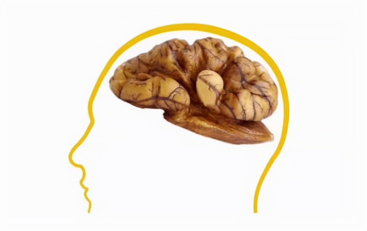 长期吃核桃对人身体有什么好处,经常吃核桃对身体有什么好处