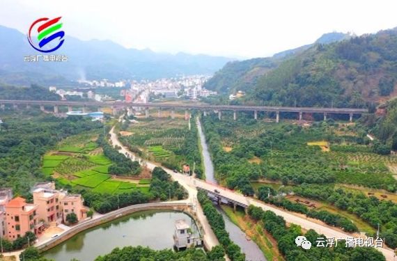 多彩云浮丨美“荔”宝珠，东进融湾