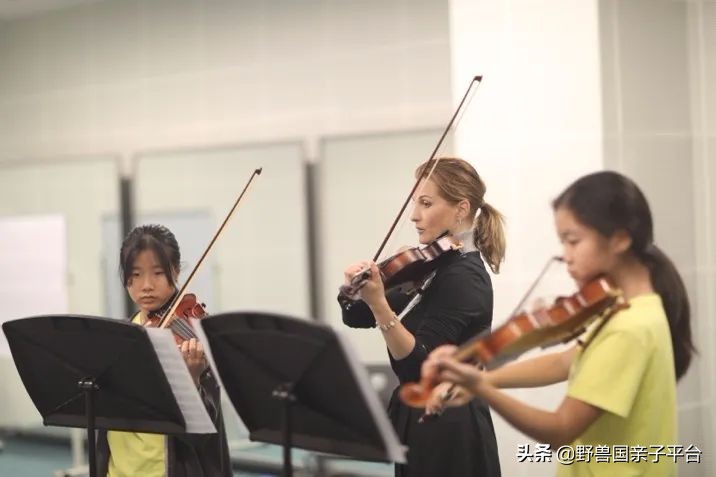 清澜山学校什么档次,入读清澜山学校需要什么条件