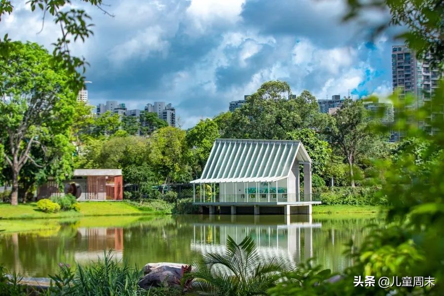 深圳带娃免费旅游推荐,深圳带娃出游景点攻略推荐