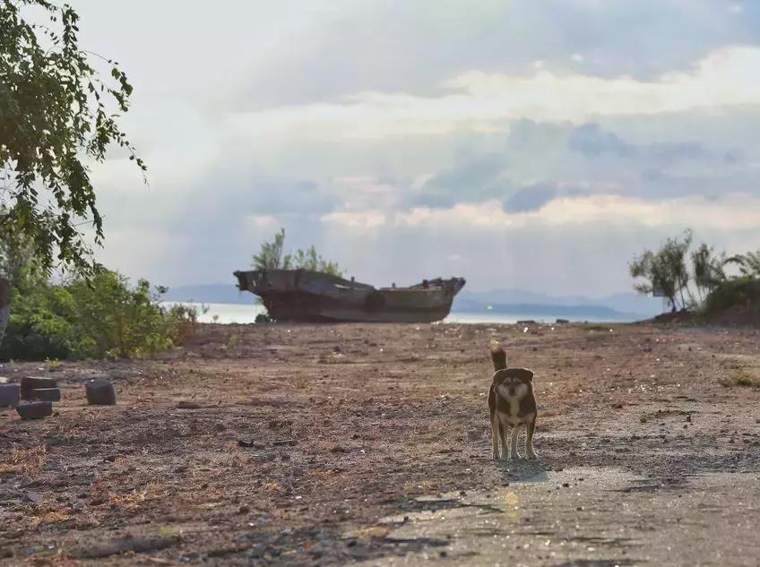 中国最具幸福感县级市江浙,中国最具幸福感县级市名单
