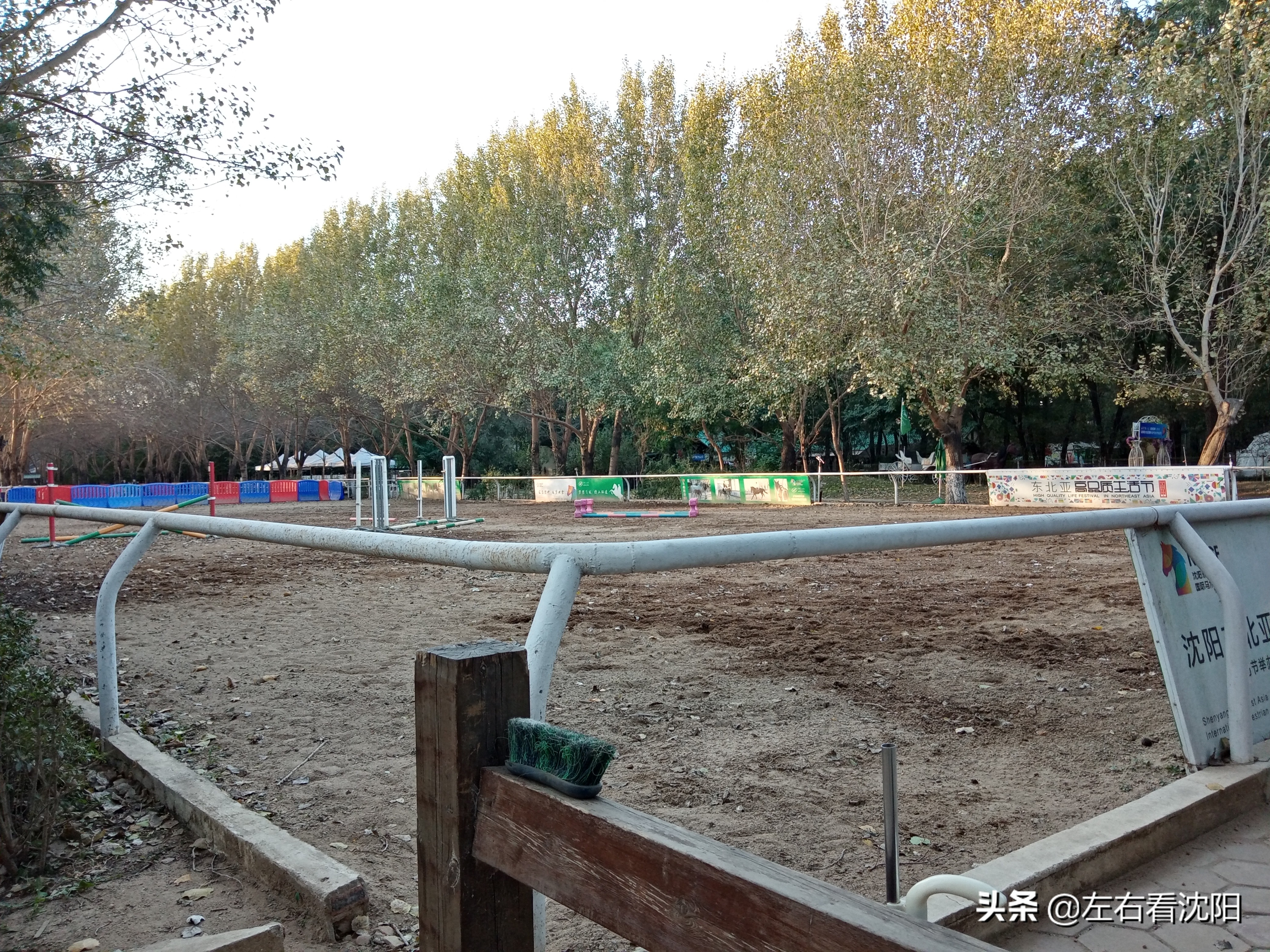 沈阳沈水湾公园看日出,沈阳浑河看海的地方