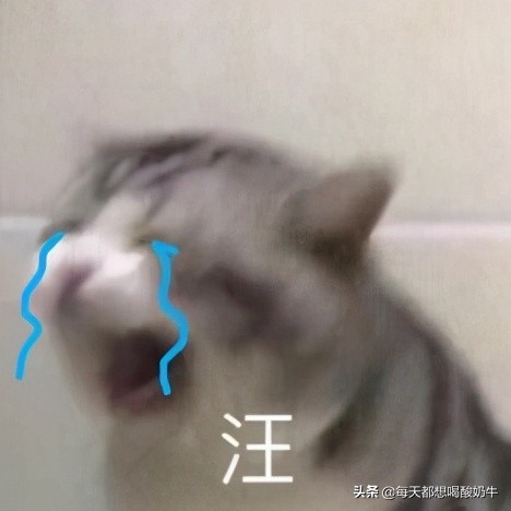 送女生什么礼物会开心,送女生什么礼物才能让她终身难忘