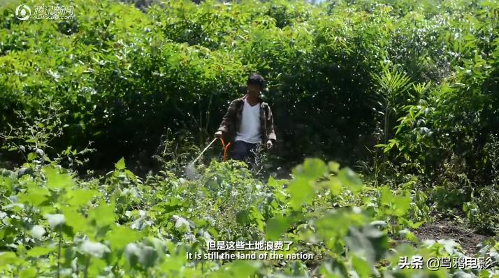 无差评小说推荐,无词条伤害最高的一套