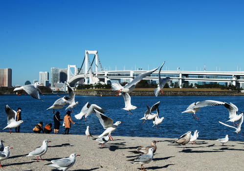 日本东京地铁攻略,日本东京旅游攻略景点大全