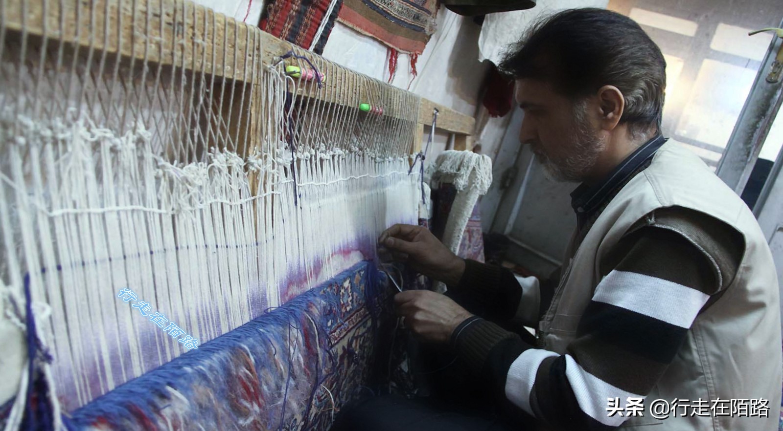 伊朗圣城旅完整版,伊朗衣食住行