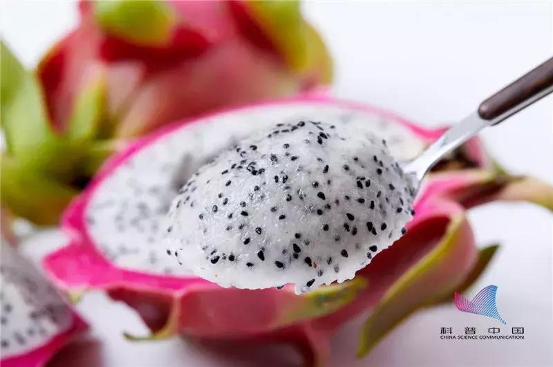 黄心猕猴桃和红心火龙果哪个好,红心猕猴桃和白心的哪个好