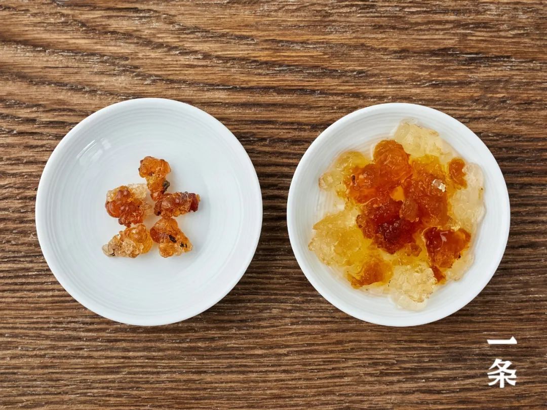 正宗植物燕窝,植物燕窝真正的燕窝是什么样的