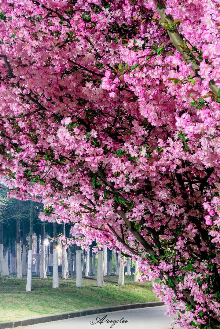 江苏省省长河海大学,江苏省河海大学