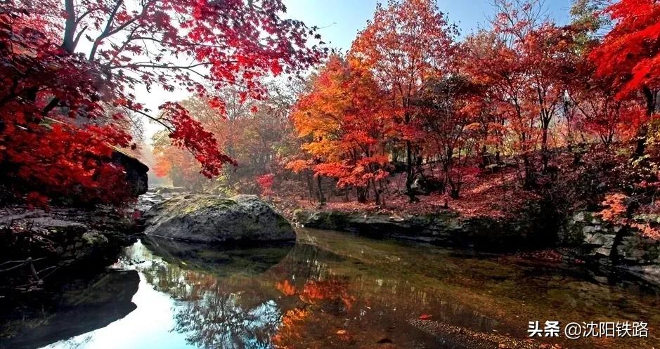 这份攻略带你走进最佳赏枫地,四大赏枫胜地你最想打卡哪个